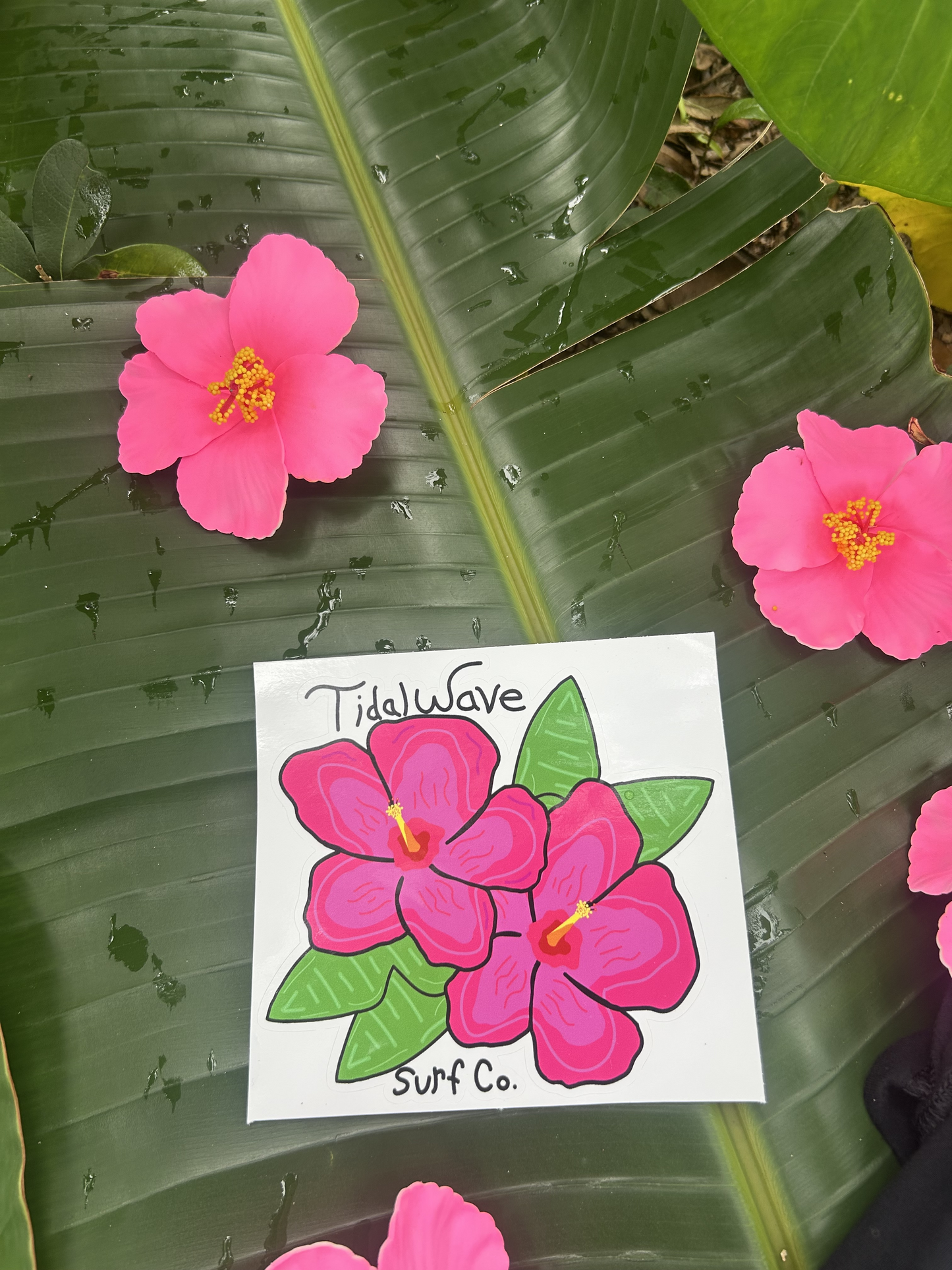 Hibiscus Flower Sticker - The Nectar of Life